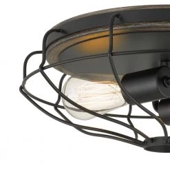 Cyclone 15 in. D x 5.25 in. H 2-Light Black and Seaside Oak Flush Mount by Worldwide Lighting -Thomas Lighting Sales black seaside oak worldwide lighting flush mount lights e30040 001 1f 1000