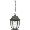 Covington 1-Light Hanging Outdoor Black Lantern by Thomas Lighting -Thomas Lighting Sales black thomas lighting outdoor pendant lights sl92337 64 1000