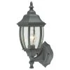 Covington 1-Light Black Outdoor Wall-Mount Lantern Sconce by Thomas Lighting