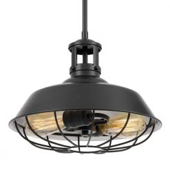 Wilbur 14 in. x 14 in. x 12 in. 2-Light Black Finish Pendant by Worldwide Lighting -Thomas Lighting Sales black worldwide lighting chandeliers e80020 001 1f 1000