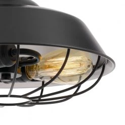 Wilbur 14 in. x 14 in. x 12 in. 2-Light Black Finish Pendant by Worldwide Lighting -Thomas Lighting Sales black worldwide lighting chandeliers e80020 001 fa 1000