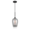Phantasm II 7 in. x 7 in. x 17.8 in. 1-Light Black Finish Smoke Graduated Color Glass Pendant by Worldwide Lighting -Thomas Lighting Sales black worldwide lighting pendant lights e80009 001 64 1000