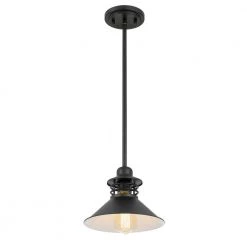 Robby 9 in. x 9 in. x 6.63 in. 1-Light Black Mini Pendant by Worldwide Lighting 10 Robby 9 in. x 9 in. x 6.63 in. 1-Light Black Mini Pendant by Worldwide Lighting -Thomas Lighting Sales black worldwide lighting pendant lights e80066 001 4f 1000