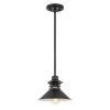 Robby 9 in. x 9 in. x 6.63 in. 1-Light Black Mini Pendant by Worldwide Lighting -Thomas Lighting Sales black worldwide lighting pendant lights e80066 001 64 1000
