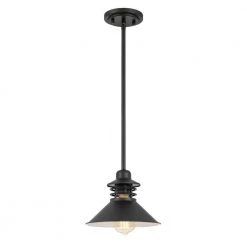 Robby 9 in. x 9 in. x 6.63 in. 1-Light Black Mini Pendant by Worldwide Lighting