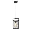 Cooper 6.25 in. x 7.5 in. x 12.38 in. 1-Light Guilded Iron and Seaside Oak Mini Pendant by Worldwide Lighting -Thomas Lighting Sales guilded iron seaside oak worldwide lighting pendant lights e80070 020 64 1000