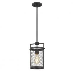 Cooper 6.25 in. x 7.5 in. x 12.38 in. 1-Light Guilded Iron and Seaside Oak Mini Pendant by Worldwide Lighting