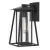 Tahoe 1-Light Matte Black Outdoor Wall Lantern Sconce by Worldwide Lighting -Thomas Lighting Sales matte black worldwide lighting outdoor sconces e10004 001 64 1000