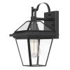 Sullivan 1-Light Matte Black Painted Outdoor Wall Lantern Sconce by Worldwide Lighting