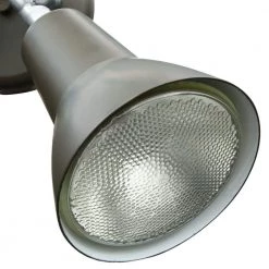 2-Light Painted Bronze Outdoor Wall-Mount Spot Light by Thomas Lighting -Thomas Lighting Sales painted bronze thomas lighting flood lights sl494227 40 1000