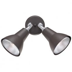 2-Light Painted Bronze Outdoor Wall-Mount Spot Light by Thomas Lighting