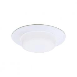 6 in. White Drop Opal Shower Recessed Trim by Thomas Lighting